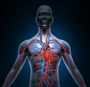 Shutterstock Periodontal Health Body